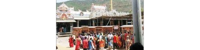 236. திருவண்ணாமலை